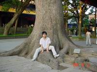 有六百高龄的树，如果我活了这么大我宁愿去死